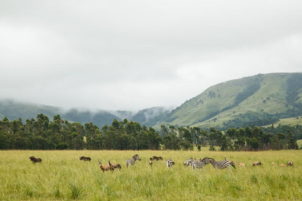 Accommodation at Badplaas, A Forever Resort